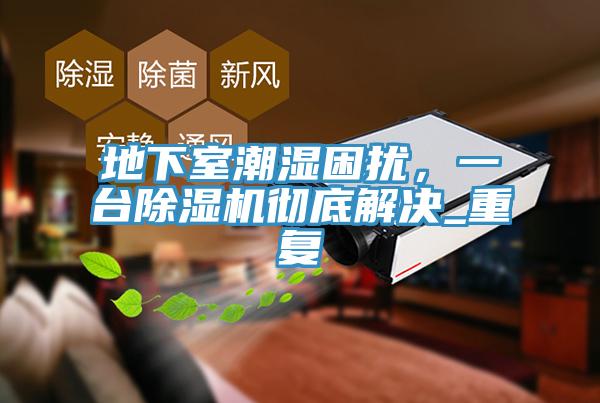 地下室潮濕困擾，一台PICACG哔咔官网入口徹底解決_重複