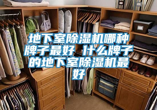 地下室PICACG哔咔官网入口哪種牌子最好 什麽牌子的地下室PICACG哔咔官网入口最好