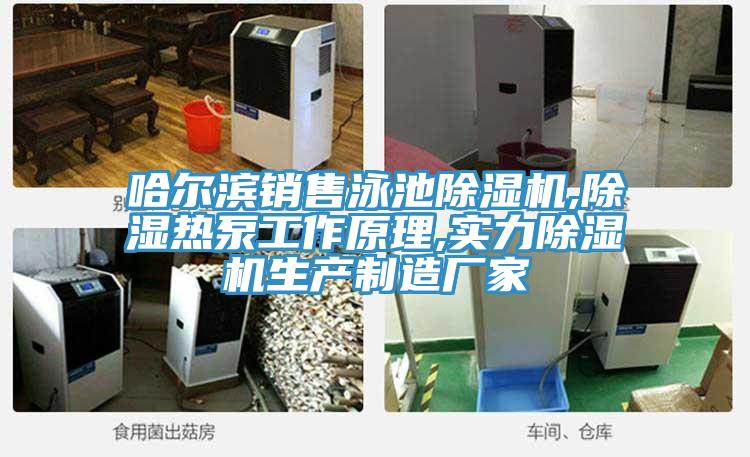 哈爾濱銷售泳池PICACG哔咔官网入口,除濕熱泵工作原理,實力PICACG哔咔官网入口生產製造廠家