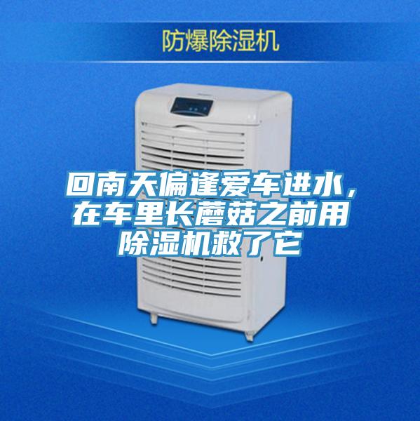 回南天偏逢愛車進水，在車裏長蘑菇之前用PICACG哔咔官网入口救了它