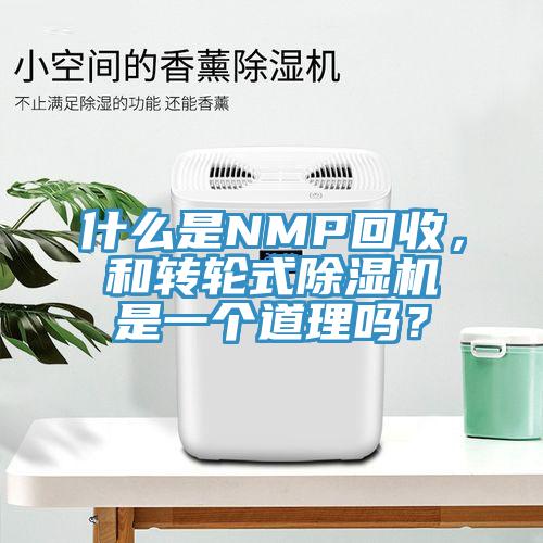 什麽是NMP回收，和轉輪式PICACG哔咔官网入口是一個道理嗎？