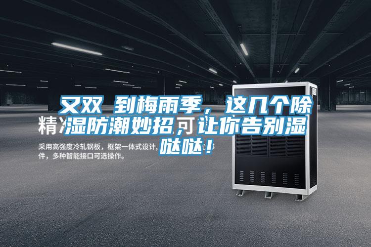 又雙叒到梅雨季，這幾個除濕防潮妙招，讓你告別濕噠噠！