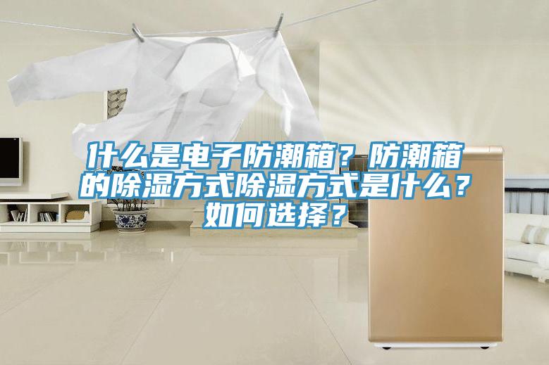什麽是電子防潮箱？防潮箱的除濕方式除濕方式是什麽？如何選擇？