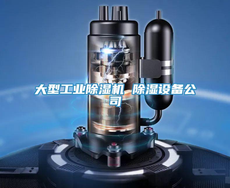 大型工業PICACG哔咔官网入口 除濕設備公司