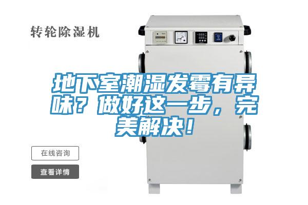 地下室潮濕發黴有異味？做好這一步，完美解決！