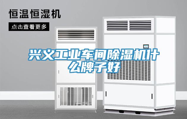 興義工業車間PICACG哔咔官网入口什麽牌子好