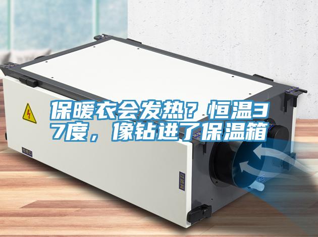 保暖衣會發熱？恒溫37度，像鑽進了保溫箱