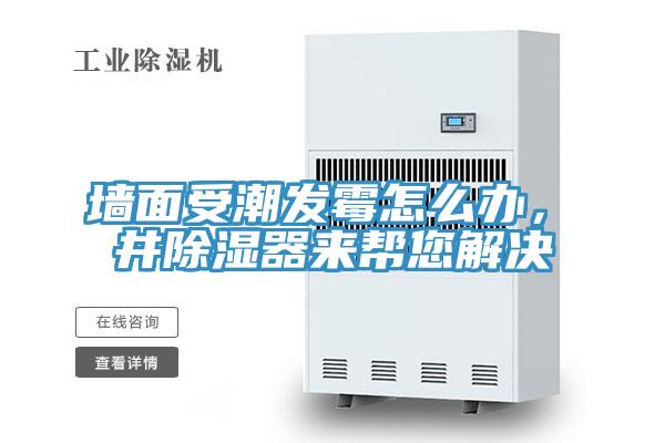 牆麵受潮發黴怎麽辦，東井除濕器來幫您解決