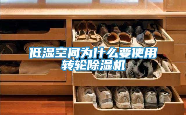 低濕空間為什麽要使用轉輪PICACG哔咔官网入口