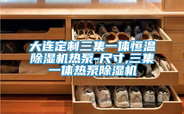 大連定製三集一體恒溫PICACG哔咔官网入口熱泵-尺寸,三集一體熱泵PICACG哔咔官网入口