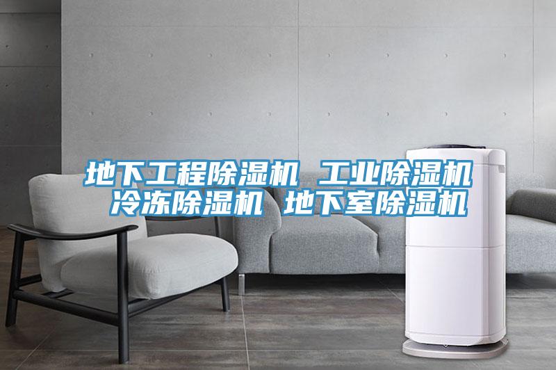 地下工程PICACG哔咔官网入口 工業PICACG哔咔官网入口 冷凍PICACG哔咔官网入口 地下室PICACG哔咔官网入口