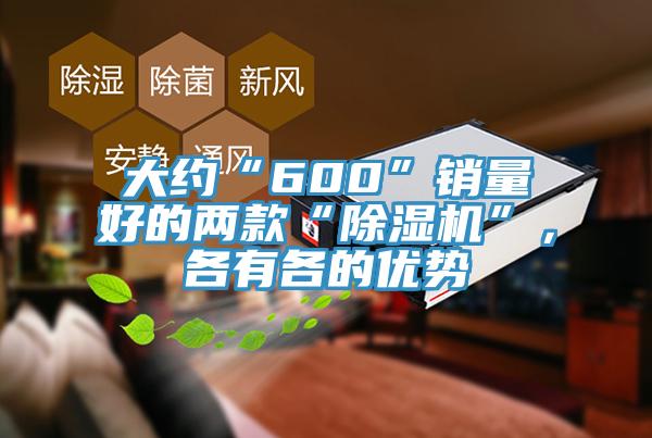 大約“600”銷量好的兩款“PICACG哔咔官网入口”，各有各的優勢
