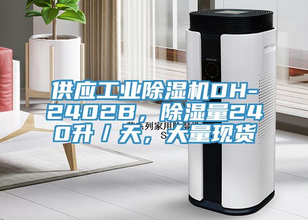供應工業PICACG哔咔官网入口DH-2402B，除濕量240升／天，大量現貨