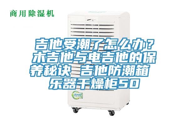 吉他受潮了怎麽辦？木吉他與電吉他的保養秘訣 吉他防潮箱 樂器幹燥櫃50