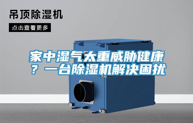 家中濕氣太重威脅健康？一台PICACG哔咔官网入口解決困擾