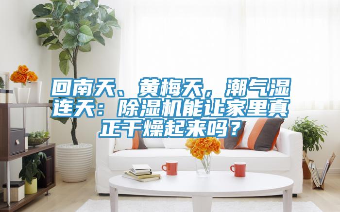 回南天、黃梅天，潮氣濕連天：PICACG哔咔官网入口能讓家裏真正幹燥起來嗎？