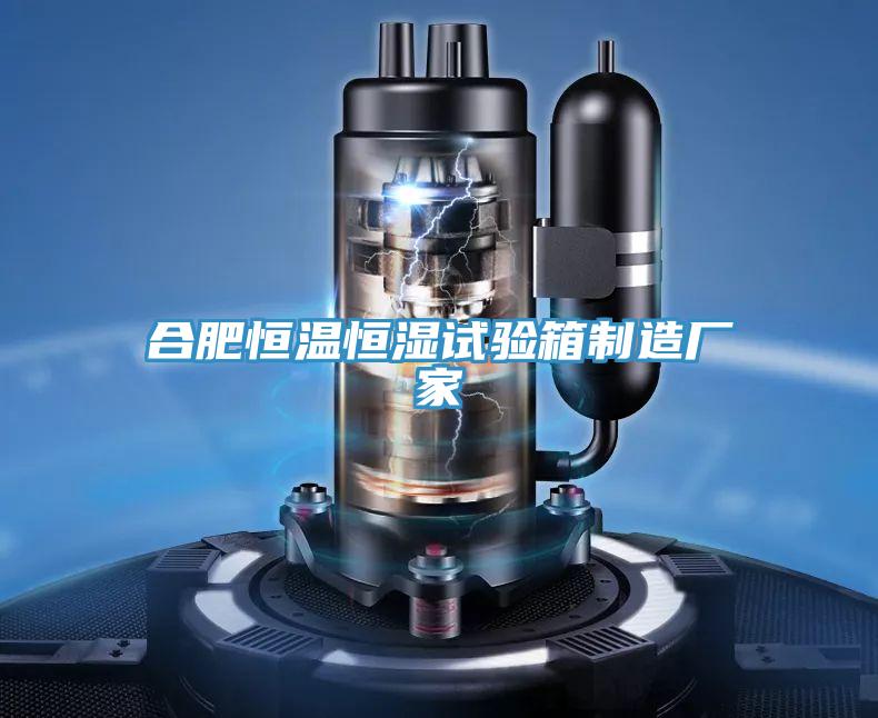 合肥恒溫恒濕試驗箱製造廠家