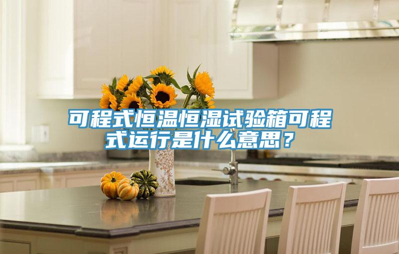 可程式恒溫恒濕試驗箱可程式運行是什麽意思？
