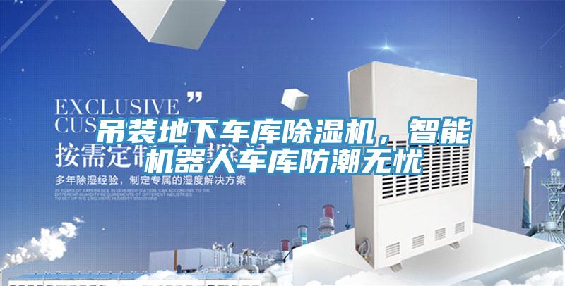 吊裝地下車庫PICACG哔咔官网入口，智能機器人車庫防潮無憂