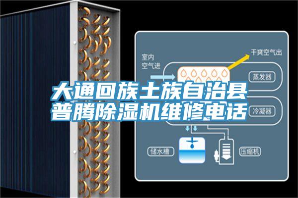 大通回族土族自治縣普騰PICACG哔咔官网入口維修電話