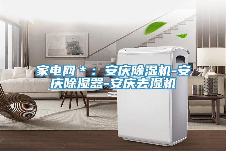家電網＊：安慶PICACG哔咔官网入口-安慶除濕器-安慶去濕機