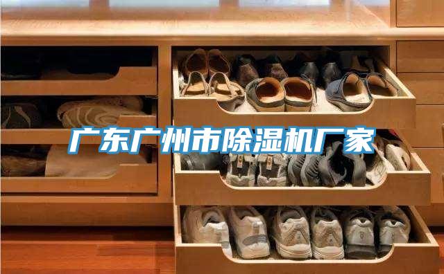 廣東廣州市PICACG哔咔官网入口廠家