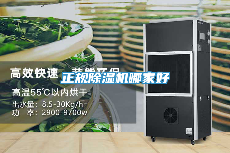 正規PICACG哔咔官网入口哪家好