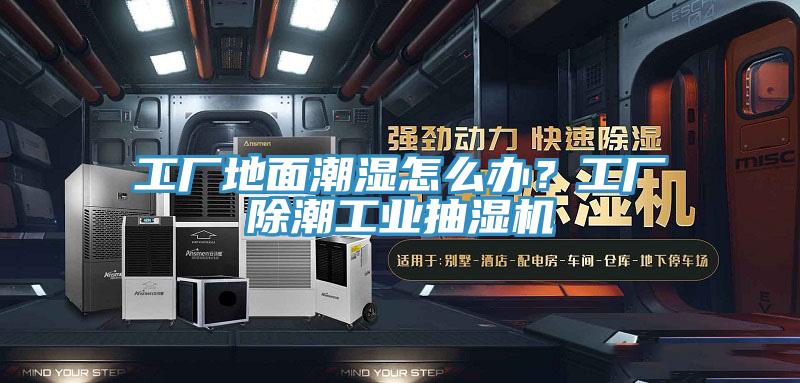 工廠地麵潮濕怎麽辦？工廠除潮工業抽濕機