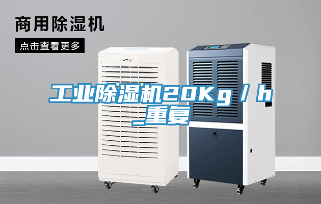 工業PICACG哔咔官网入口20Kg／h_重複