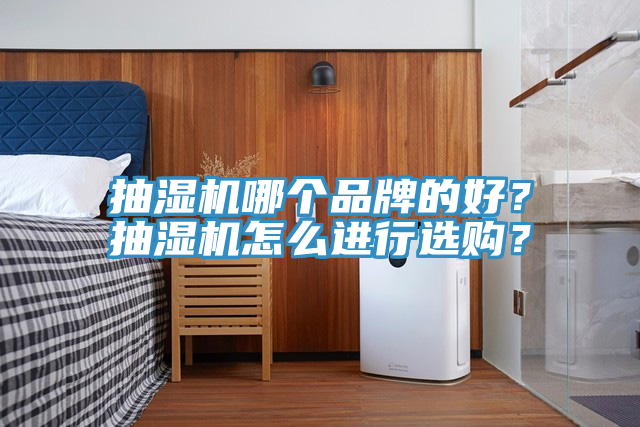 抽濕機哪個品牌的好？抽濕機怎麽進行選購？