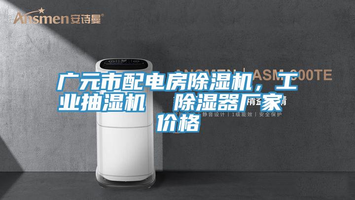 廣元市配電房PICACG哔咔官网入口，工業抽濕機  除濕器廠家 價格