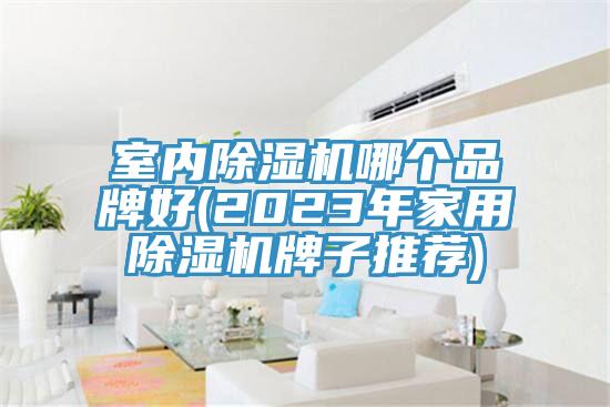 室內PICACG哔咔官网入口哪個品牌好(2023年家用PICACG哔咔官网入口牌子推薦)