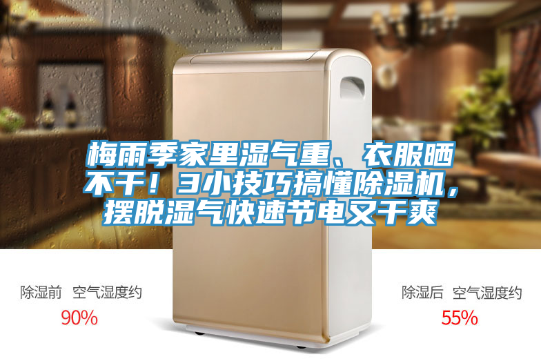 梅雨季家裏濕氣重、衣服曬不幹！3小技巧搞懂PICACG哔咔官网入口，擺脫濕氣快速節電又幹爽