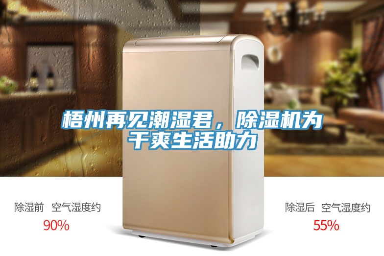 梧州再見潮濕君，PICACG哔咔官网入口為幹爽生活助力