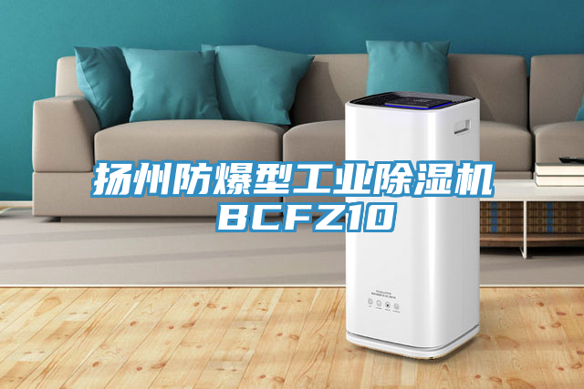 揚州防爆型工業PICACG哔咔官网入口 BCFZ10
