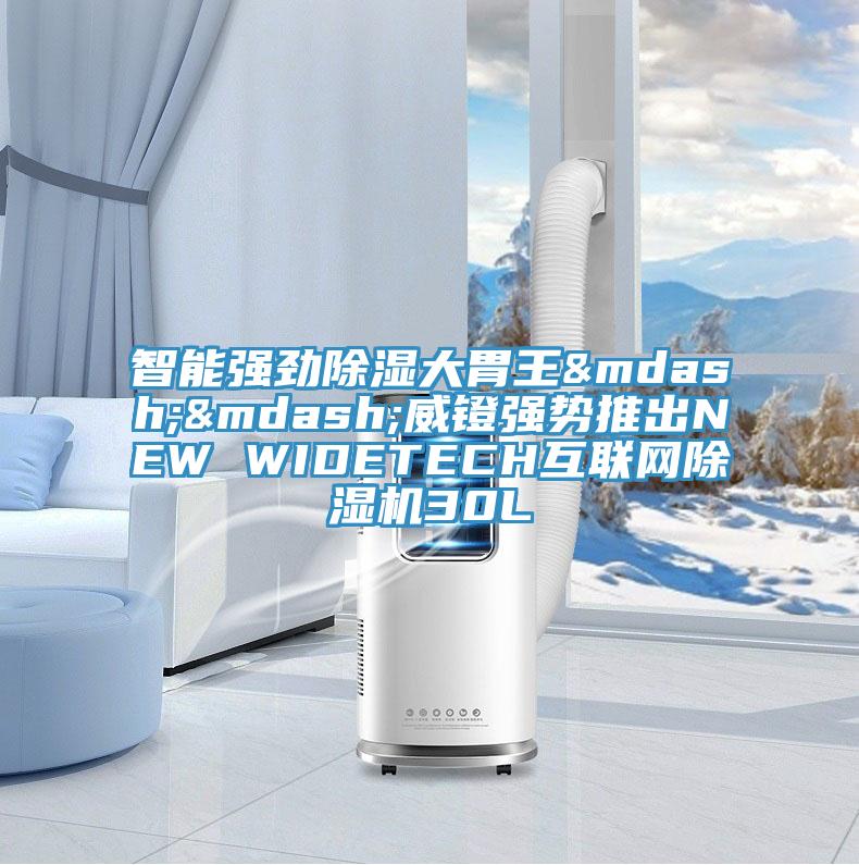 智能強勁除濕大胃王&mdash;&mdash;威鐙強勢推出NEW WIDETECH互聯網PICACG哔咔官网入口30L