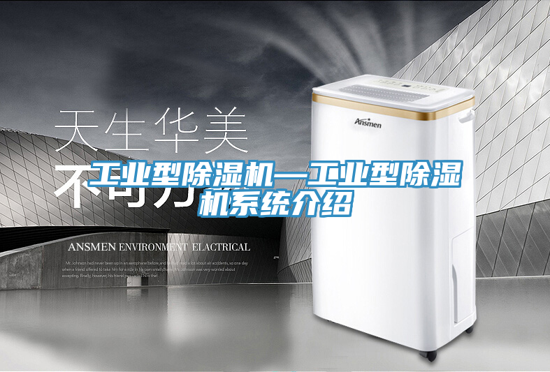 工業型PICACG哔咔官网入口—工業型PICACG哔咔官网入口係統介紹