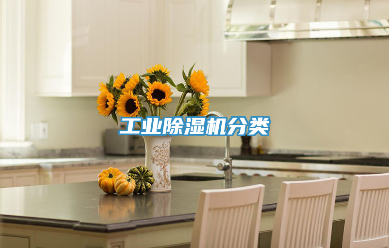 工業PICACG哔咔官网入口分類