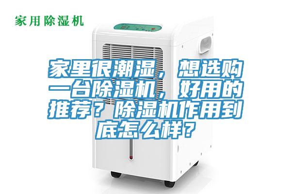 家裏很潮濕，想選購一台PICACG哔咔官网入口，好用的推薦？PICACG哔咔官网入口作用到底怎麽樣？