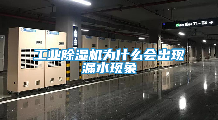 工業PICACG哔咔官网入口為什麽會出現漏水現象