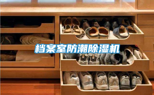 檔案室防潮PICACG哔咔官网入口