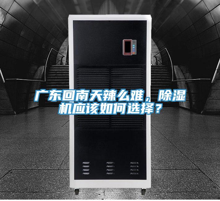 廣東回南天辣麽難，PICACG哔咔官网入口應該如何選擇？