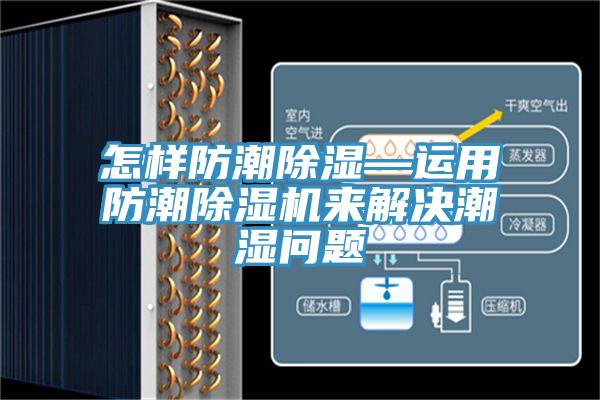 怎樣防潮除濕—運用防潮PICACG哔咔官网入口來解決潮濕問題