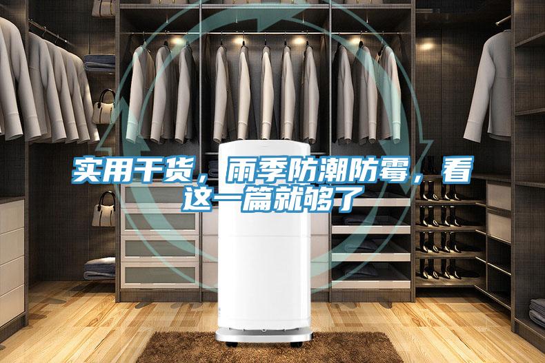 實用幹貨，雨季防潮防黴，看這一篇就夠了