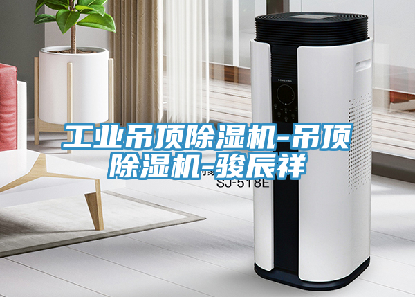 工業吊頂PICACG哔咔官网入口-吊頂PICACG哔咔官网入口-駿辰祥