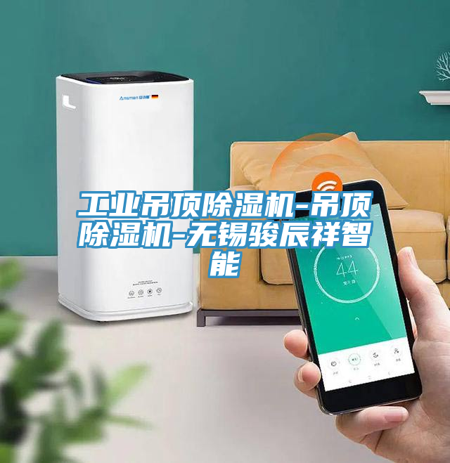 工業吊頂PICACG哔咔官网入口-吊頂PICACG哔咔官网入口-無錫駿辰祥智能