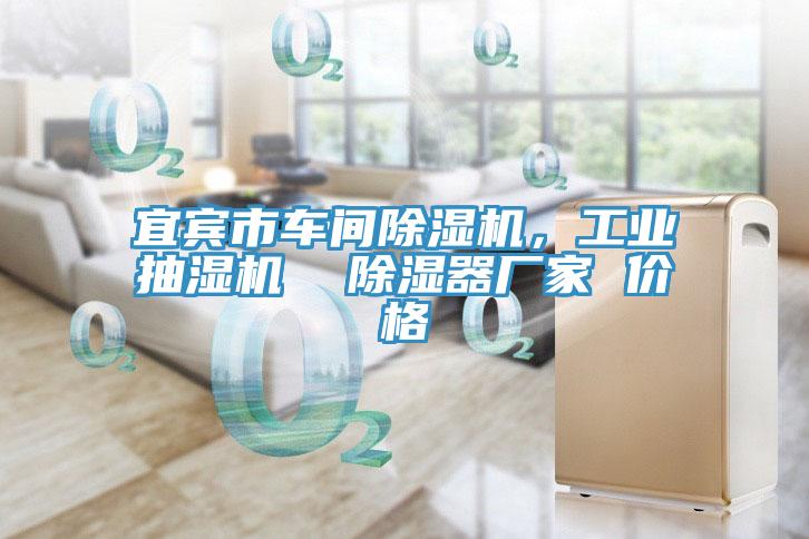宜賓市車間PICACG哔咔官网入口，工業抽濕機  除濕器廠家 價格