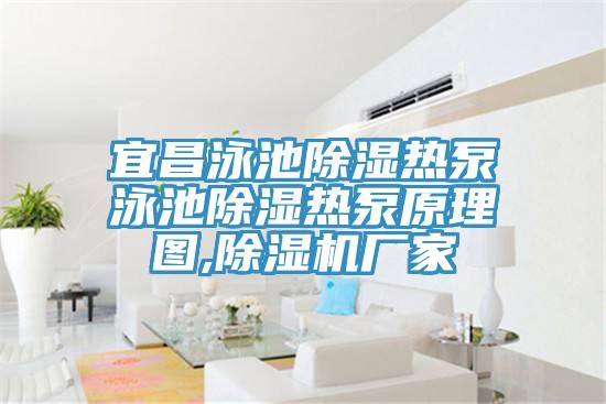 宜昌泳池除濕熱泵泳池除濕熱泵原理圖,PICACG哔咔官网入口廠家