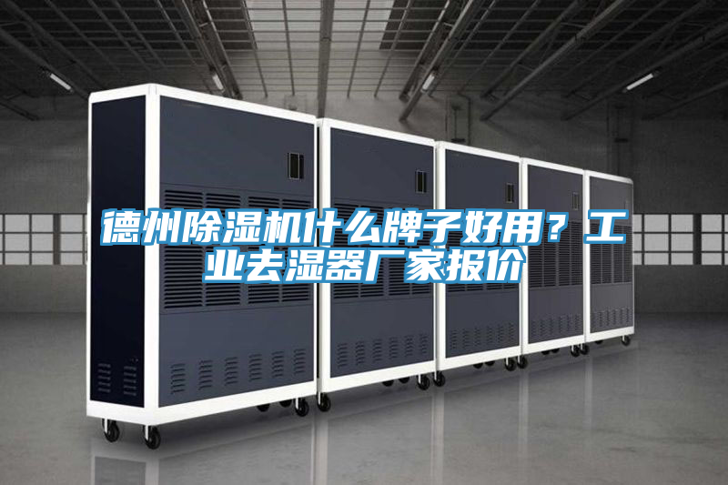 德州PICACG哔咔官网入口什麽牌子好用？工業去濕器廠家報價