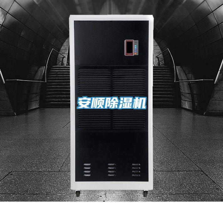 安順PICACG哔咔官网入口